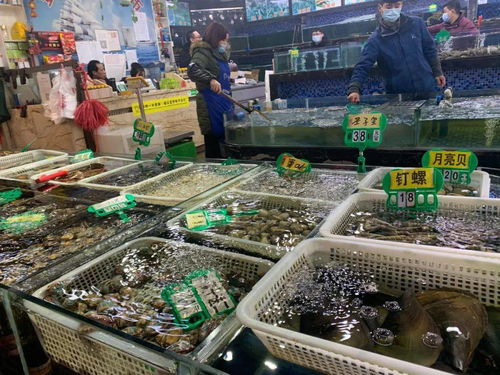 过年,管够